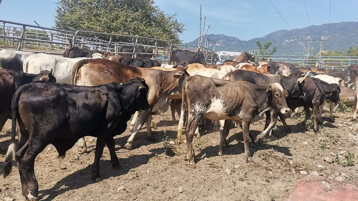 WhatsApp Image 2026-02-02 at 3.19.43 PM