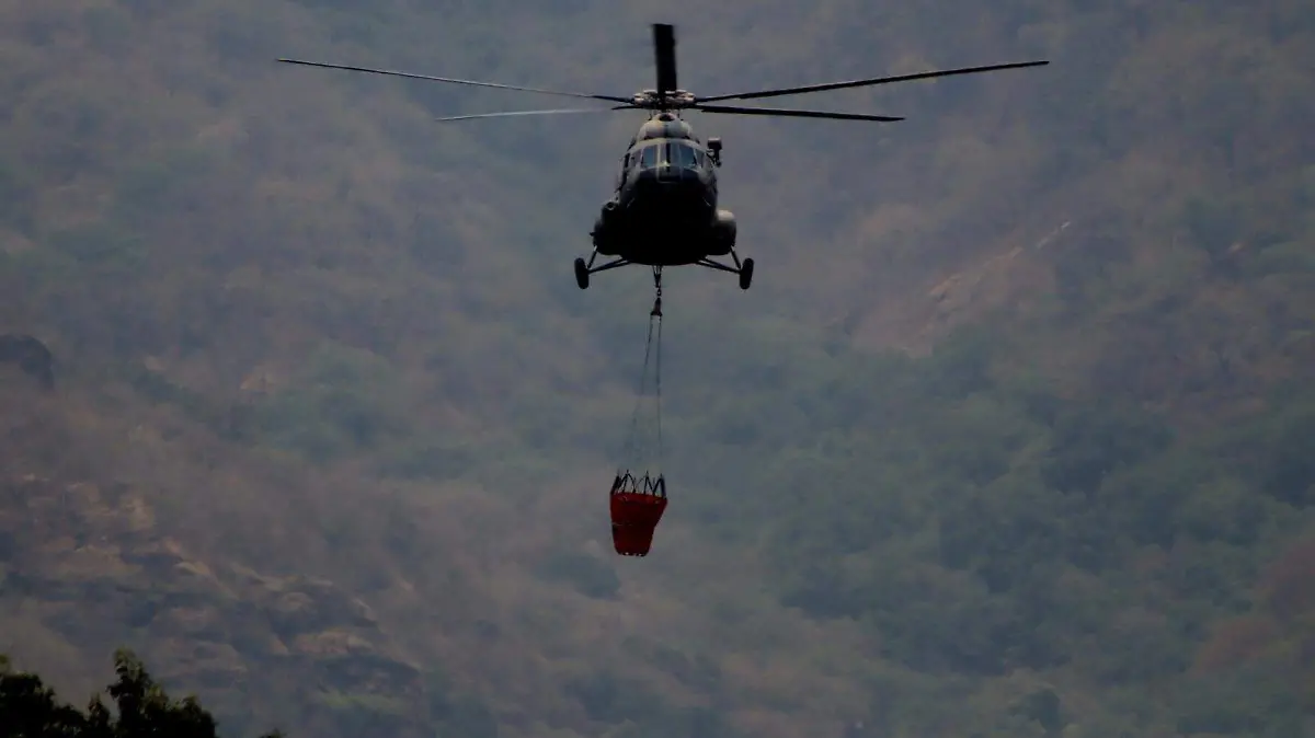 IMG-20260202-WA0341_edit_124205609172193