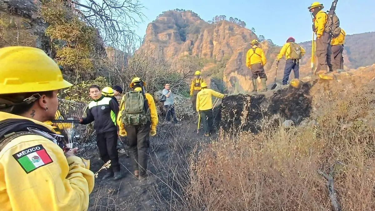 WhatsApp Image 2026-02-02 at 8.23.05 PM