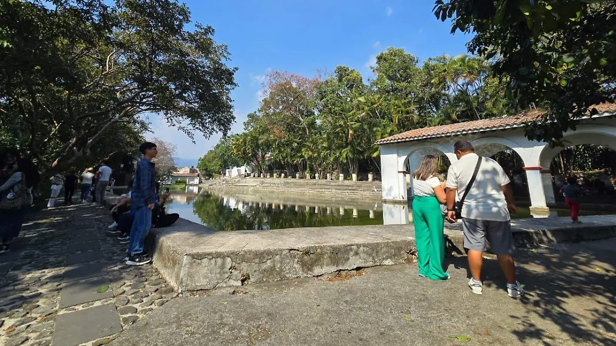 WhatsApp Image 2026-02-03 at 1.42.59 PM