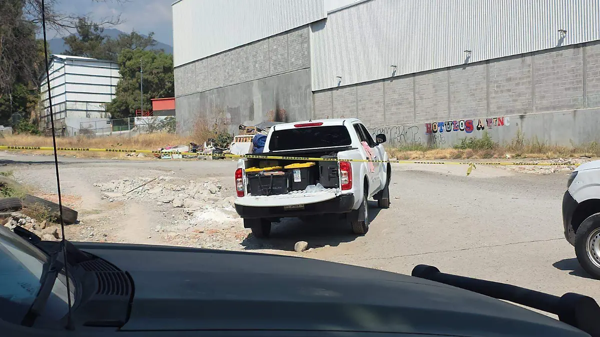 WhatsApp Image 2026-02-04 at 12.19.05 PM (1)