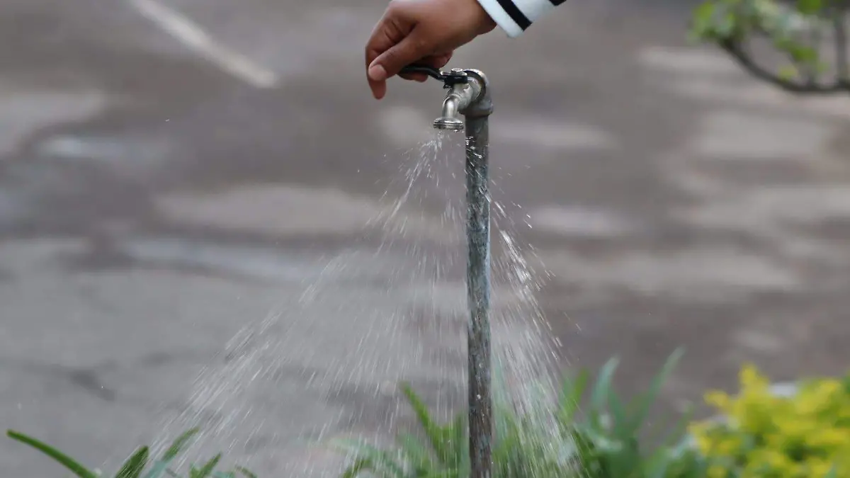 WhatsApp Image 2026-02-04 at 12.15.30 PM