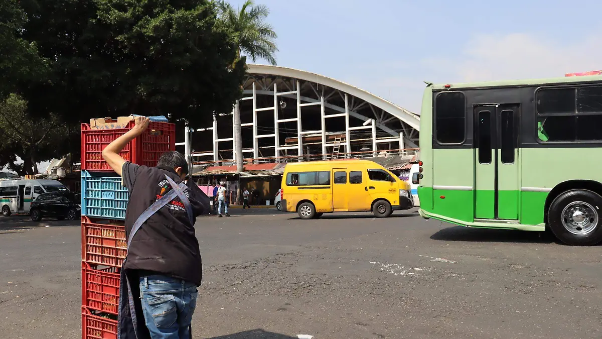 mercadosalm-lomaselva2-luis-flores