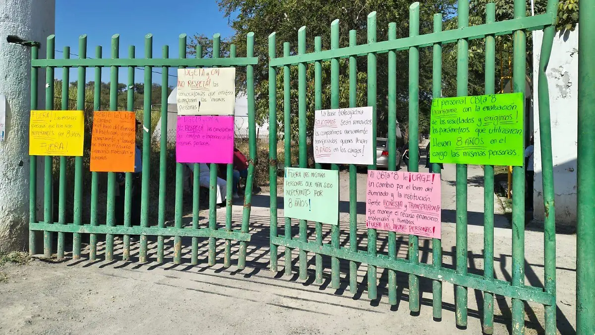 WhatsApp Image 2026-02-09 at 11.41.47 AM