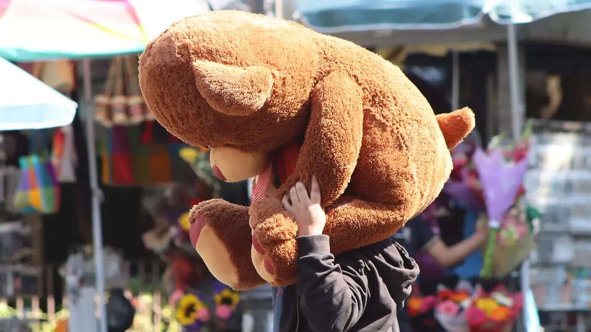 peluches-buscados1-luis flores