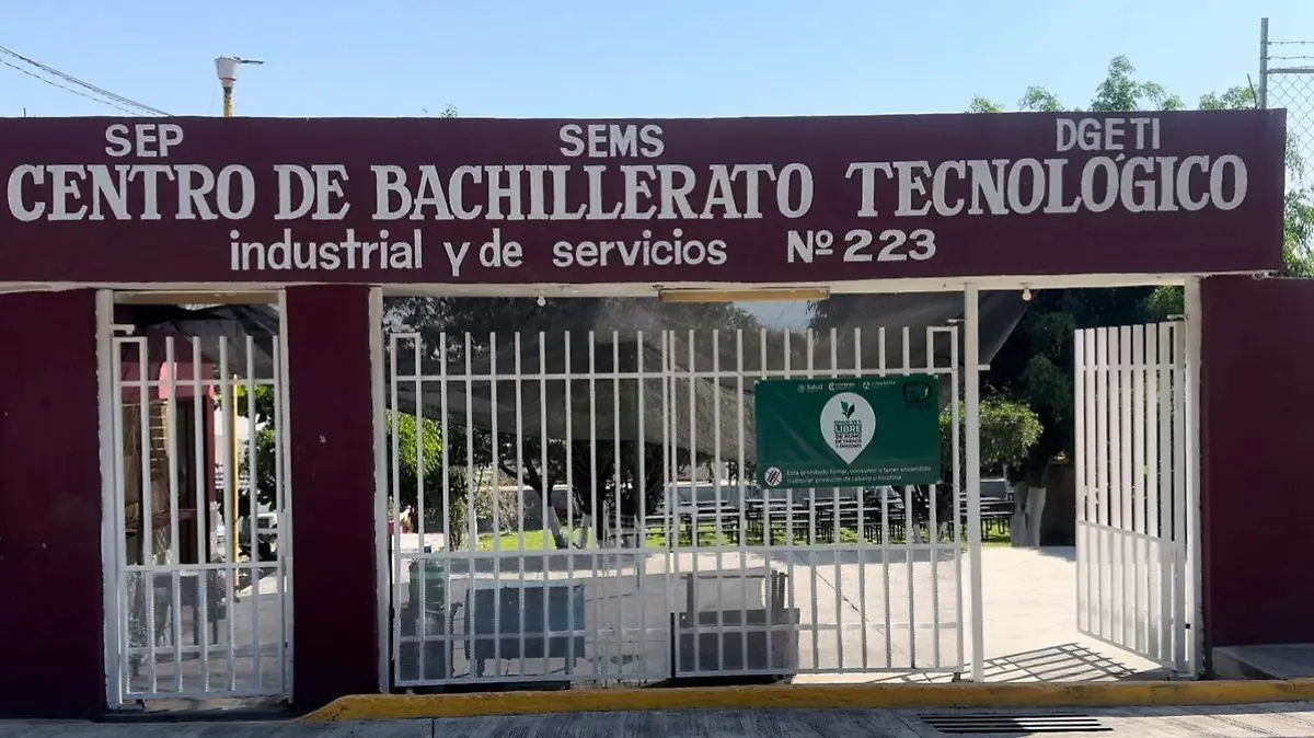 WhatsApp Image 2026-02-12 at 12.59.41 PM