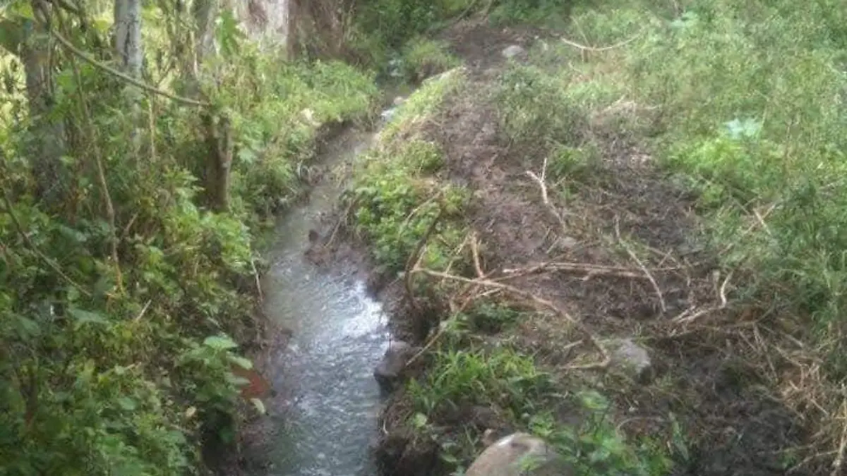 WhatsApp Image 2026-02-15 at 4.47.21 PM