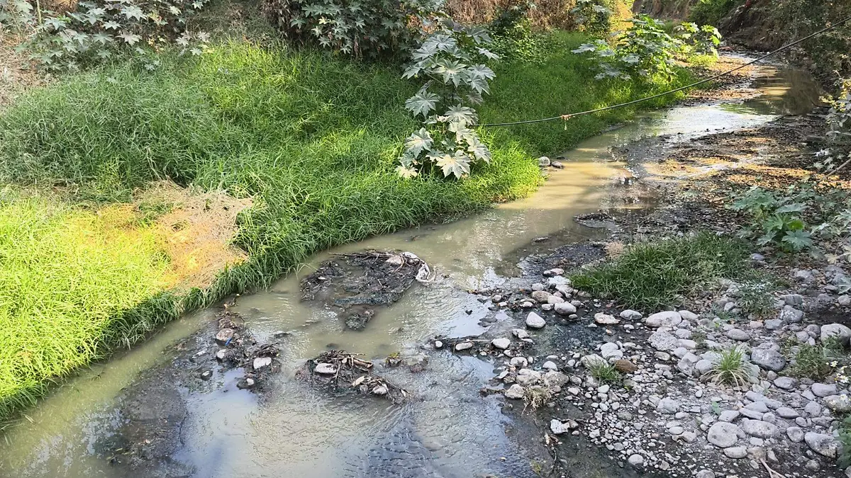 la tarjea-zona sur (1)