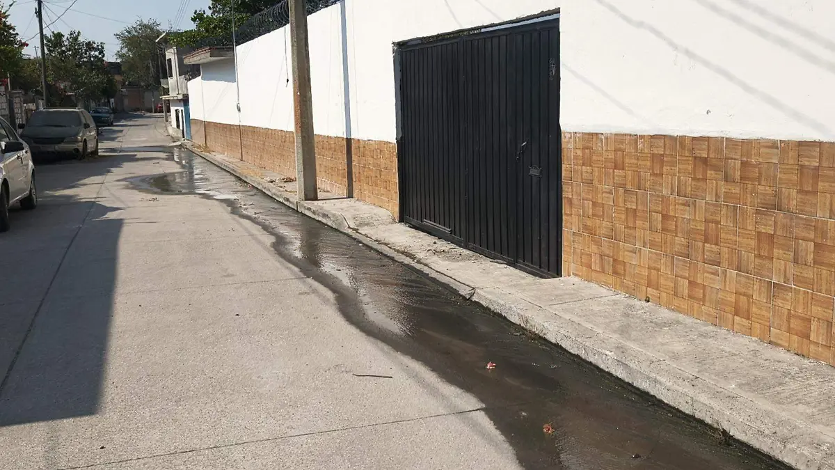 chihuahuita-morelos-manantial (2)