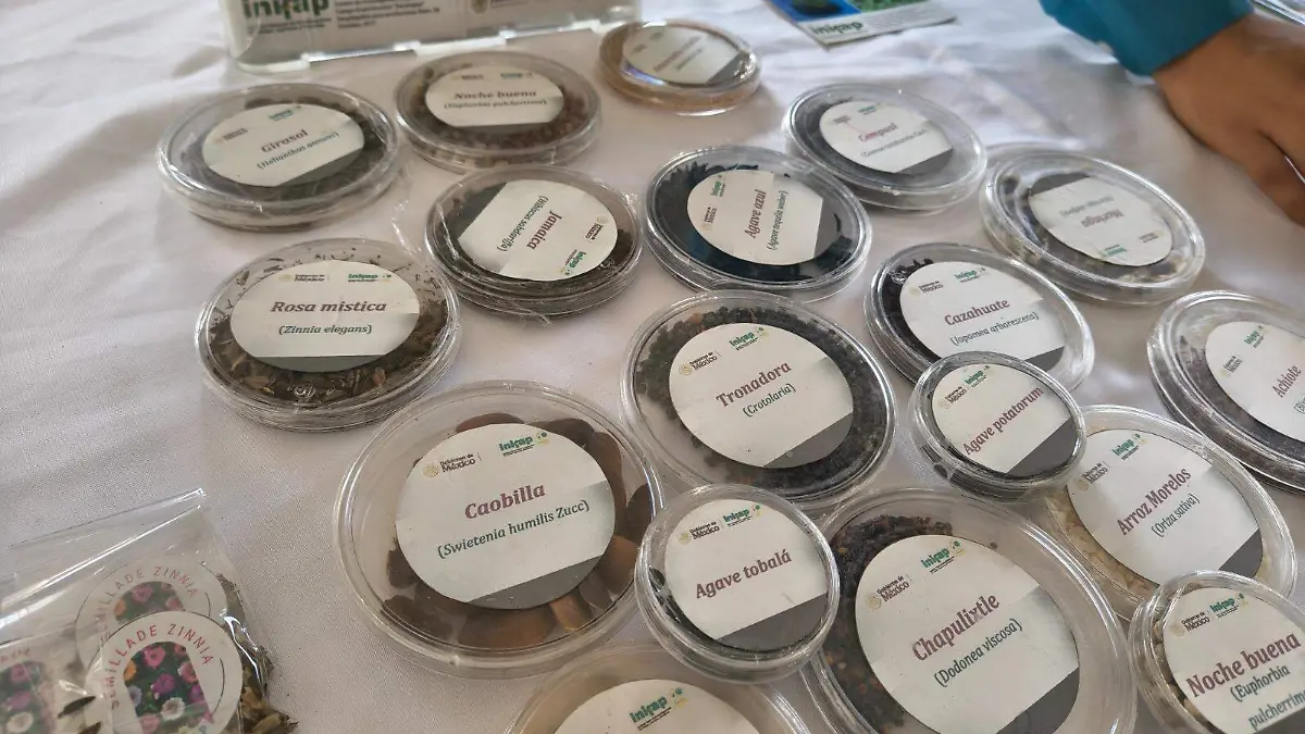 WhatsApp Image 2026-02-18 at 3.00.18 PM