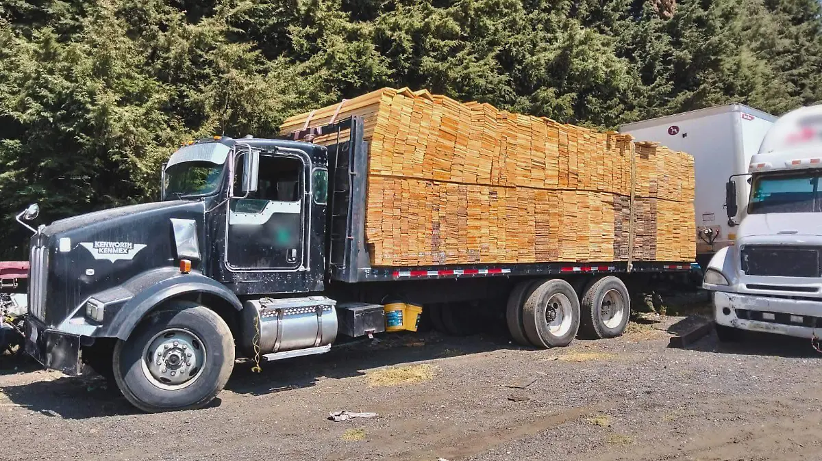 WhatsApp Image 2026-02-20 at 11.01.54 AM