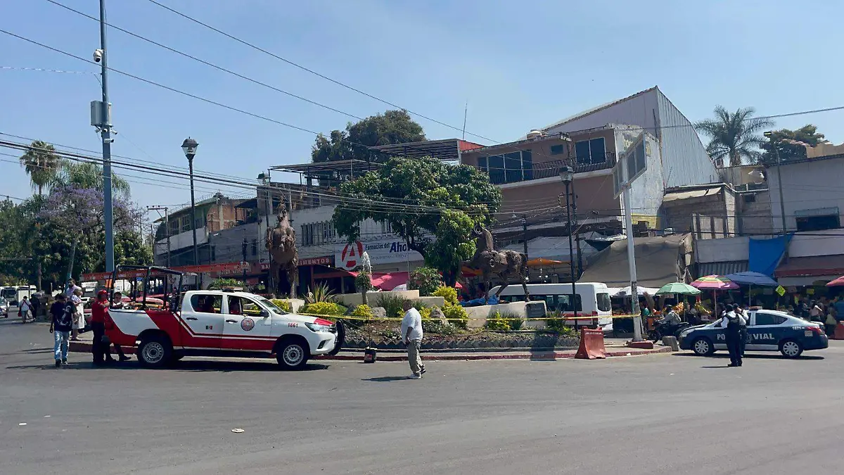 WhatsApp Image 2026-02-20 at 11.36.00 AM