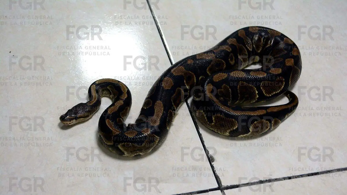 WhatsApp Image 2026-02-20 at 2.56.06 PM