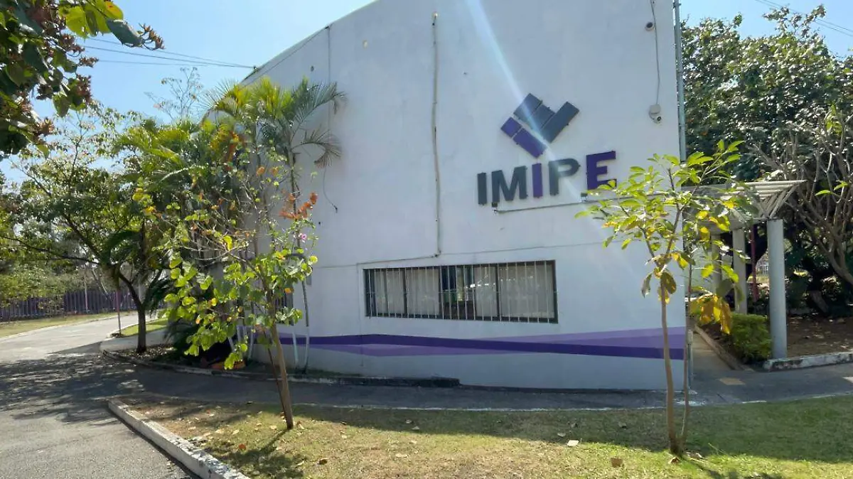 WhatsApp Image 2026-02-20 at 12.01.48 PM