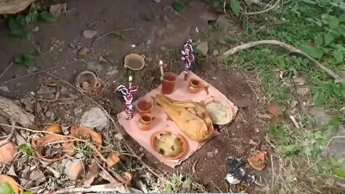 WhatsApp Image 2026-02-20 at 1.34.38 PM