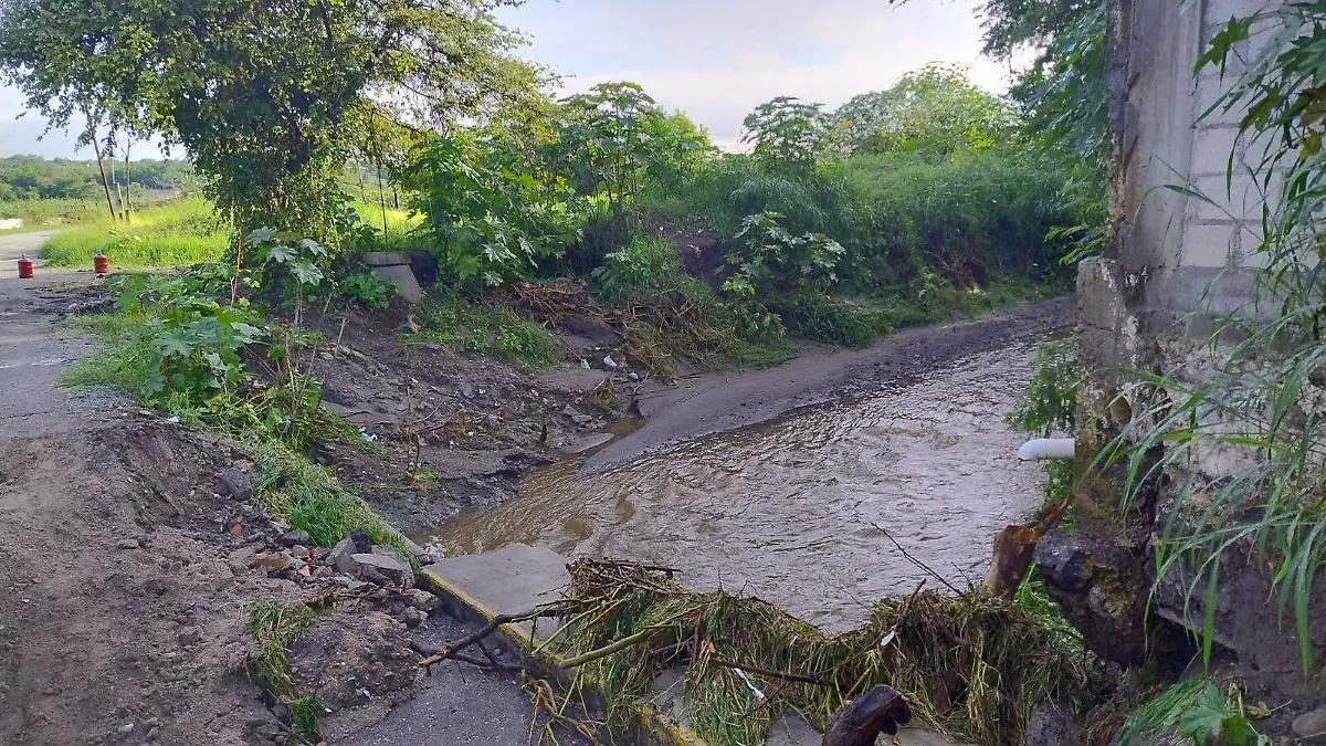 WhatsApp Image 2026-02-22 at 7.58.06 PM