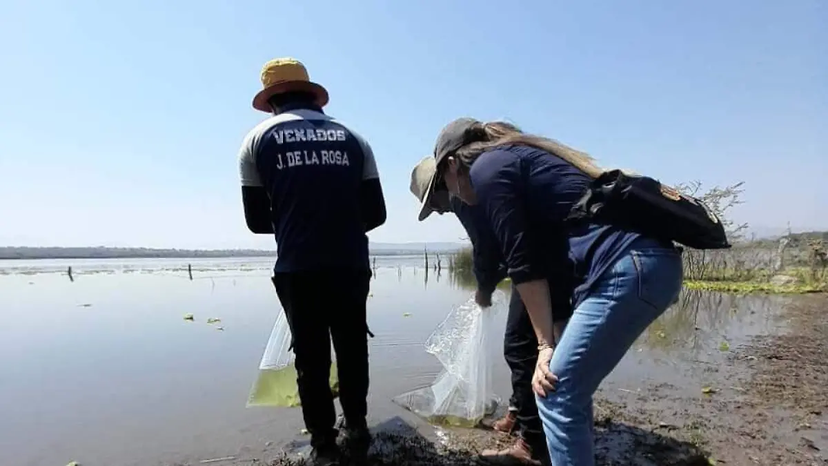 WhatsApp Image 2026-02-23 at 3.22.53 PM