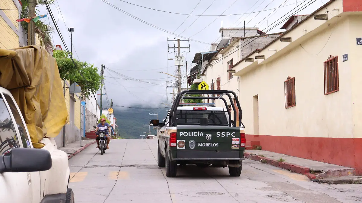celulas-municipios2-luis-flores