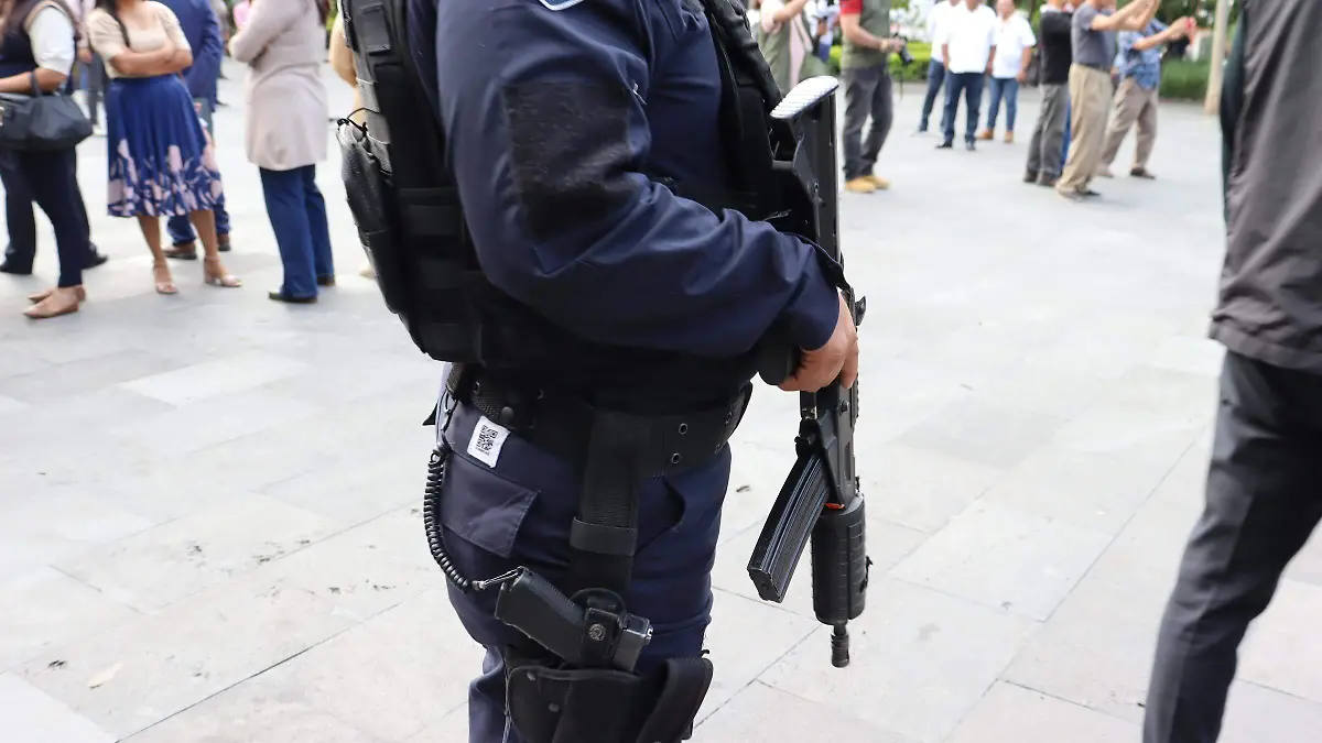 diputado-seguridad2-luis-flores