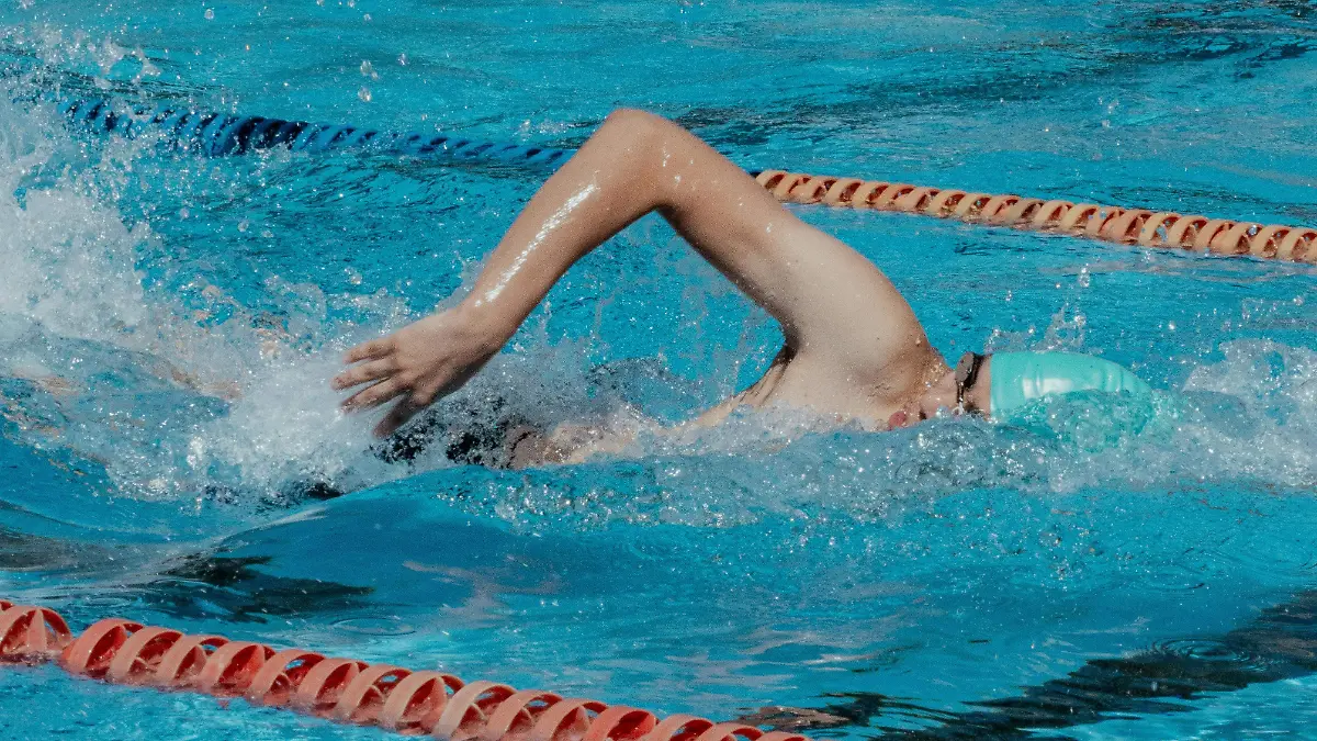 pexels-roodzn-34314430