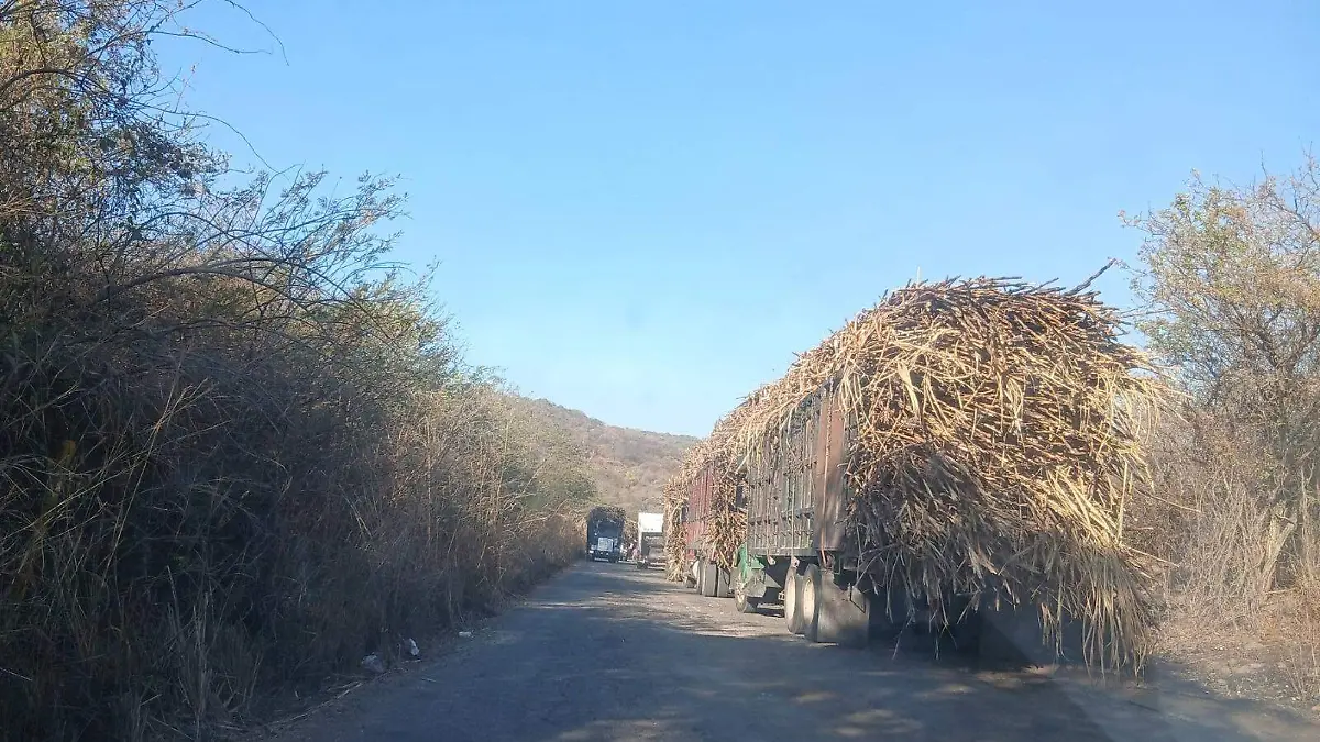 WhatsApp Image 2026-03-01 at 4.43.43 PM