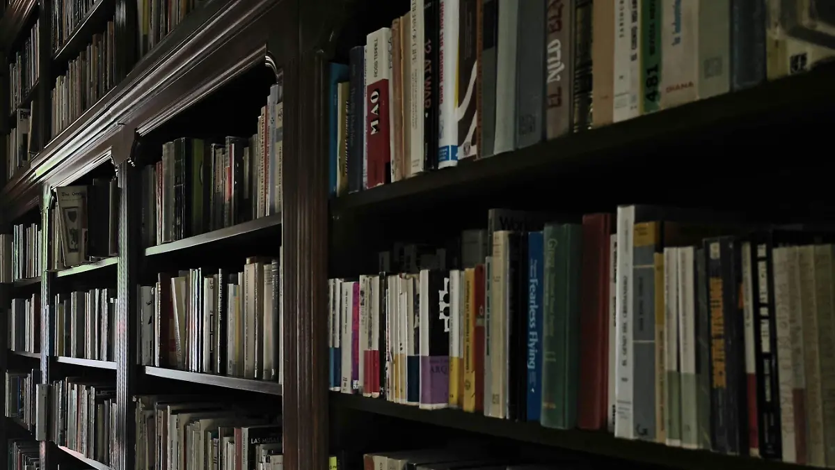 WhatsApp Image 2026-03-02 at 4.25.29 PM