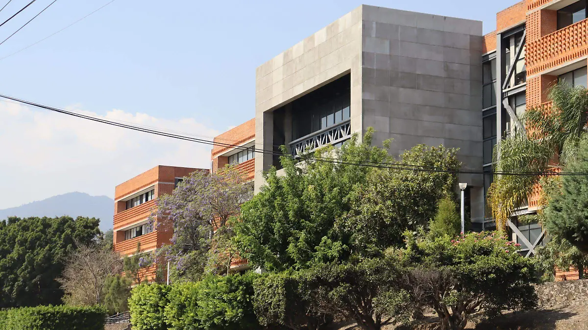 gordillo-drogas1-luis-flores