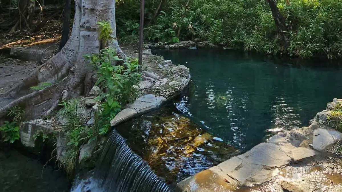 WhatsApp Image 2026-03-11 at 4.14.02 PM