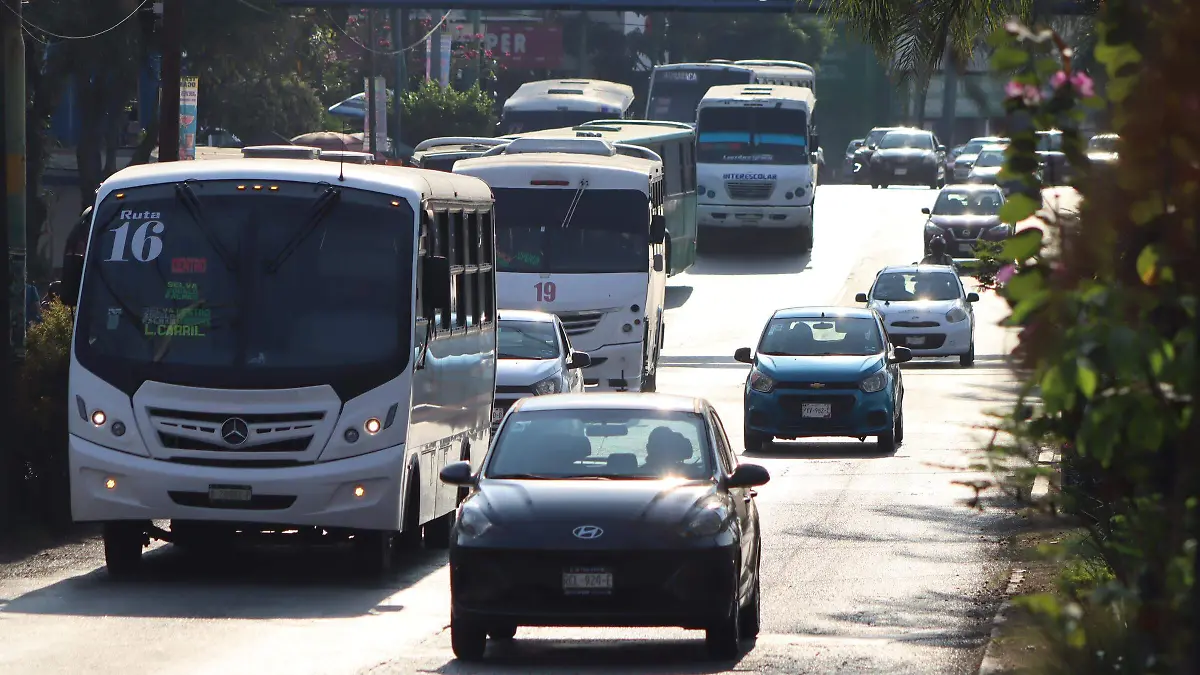 movilidad-estimulos2-luis-flores