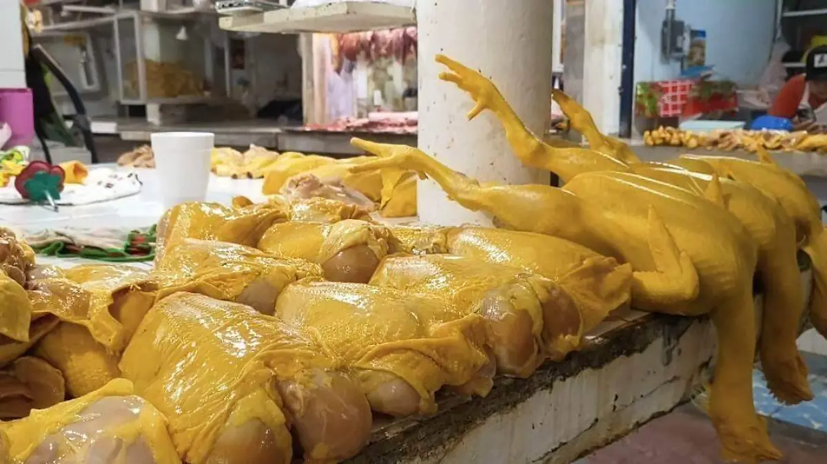 WhatsApp Image 2026-03-12 at 2.10.47 PM