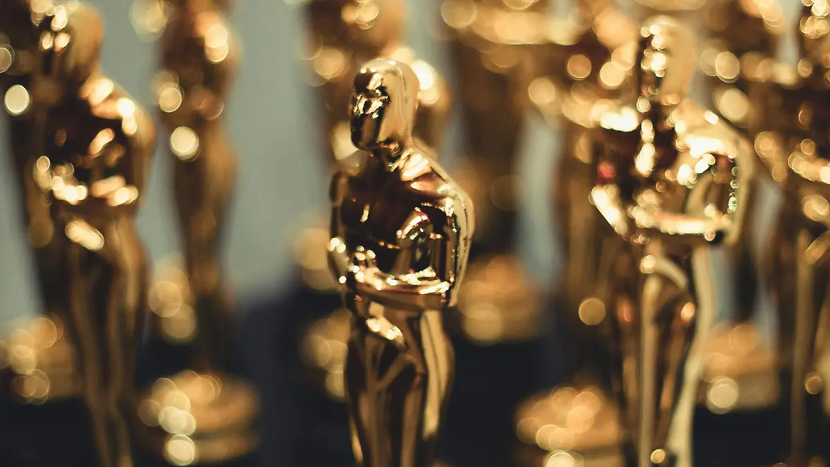 pexels-thisisjooh-36512552