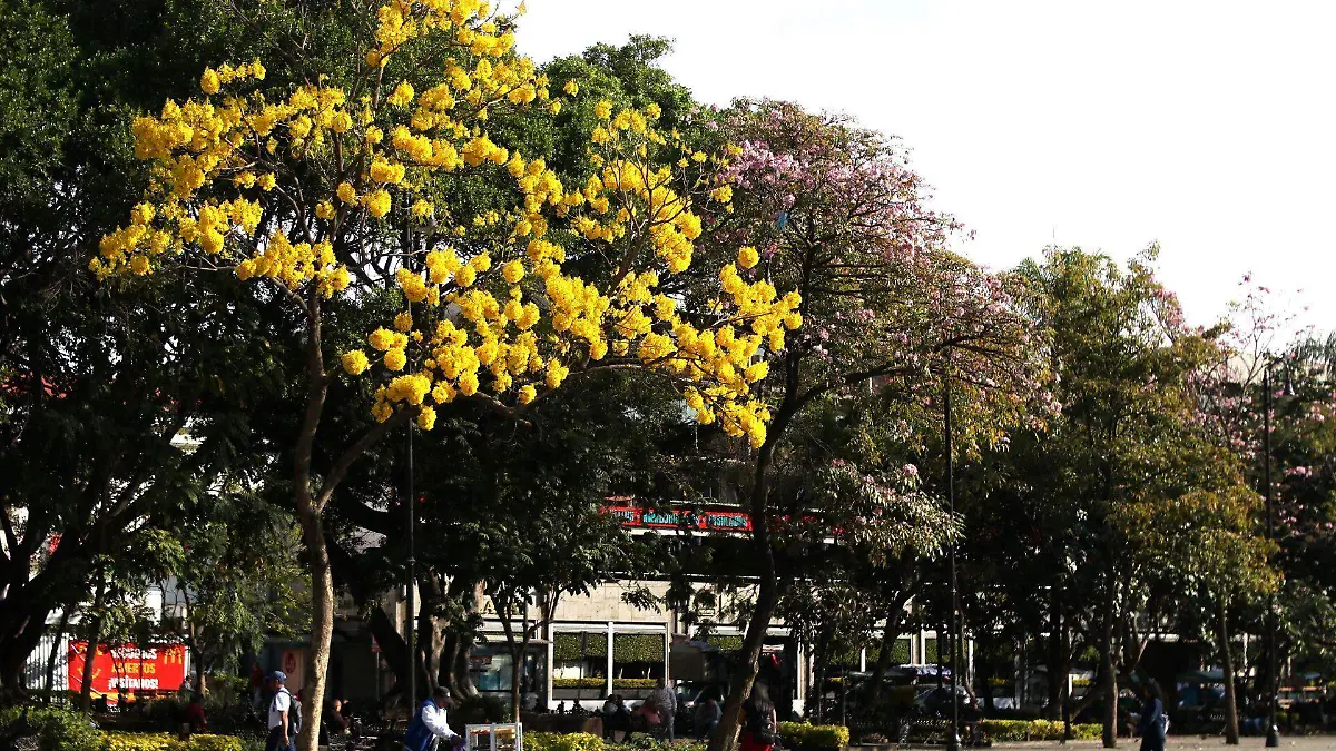 cuernavaca-plaza-armas-morelos