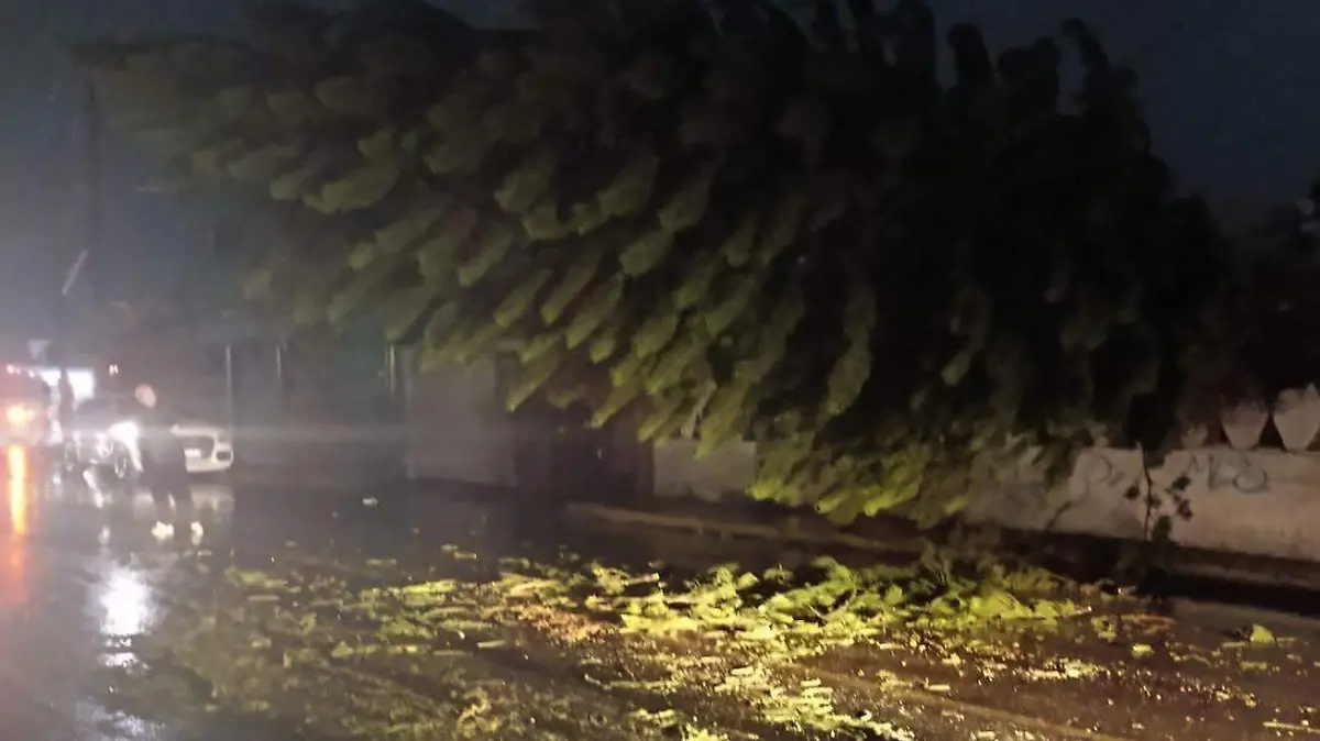 WhatsApp Image 2026-03-17 at 8.17.47 PM