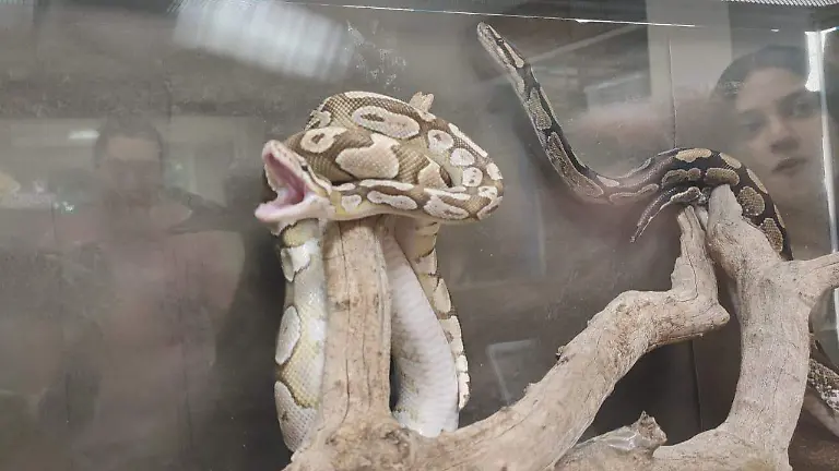 WhatsApp Image 2026-03-19 at 6.38.09 PM