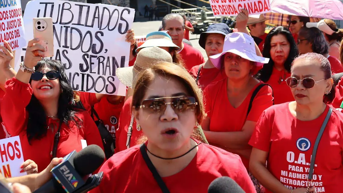 jubilados-decretos1-luis-flores