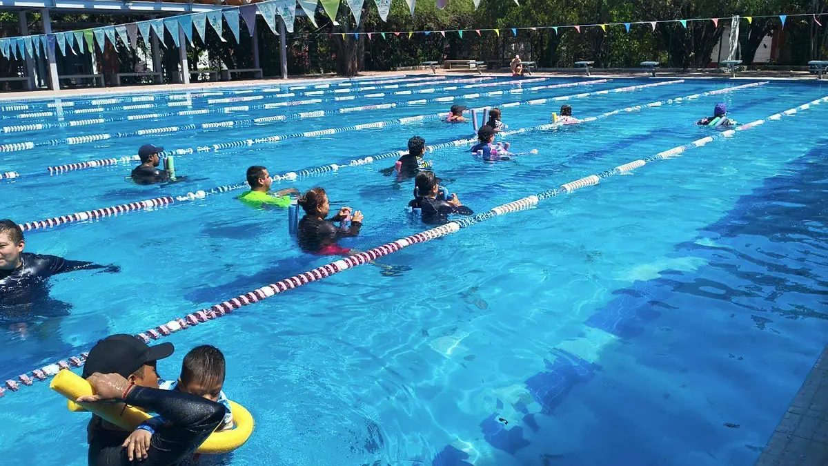 WhatsApp Image 2026-03-20 at 5.03.10 PM