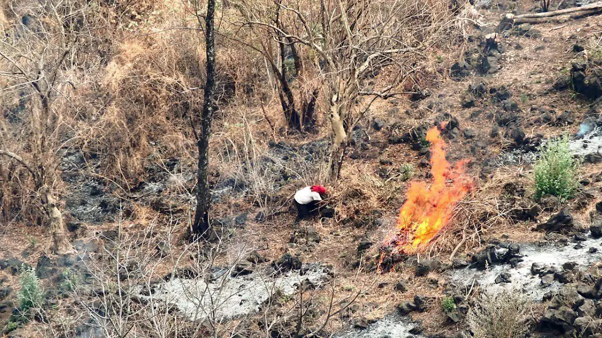 WhatsApp Image 2026-03-23 at 5.34.29 PM