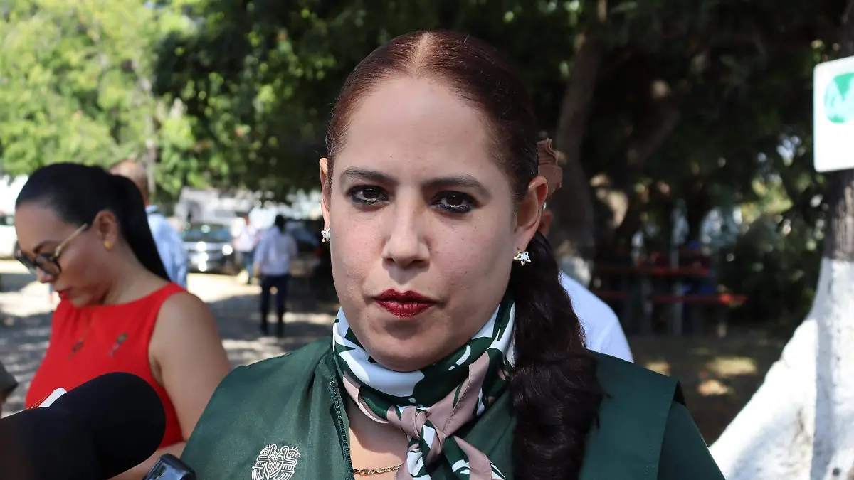 arma-revision2-luis-flores