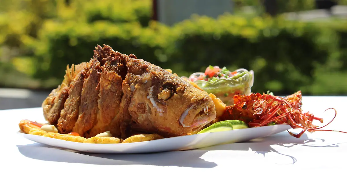 isamand-fish-5816373