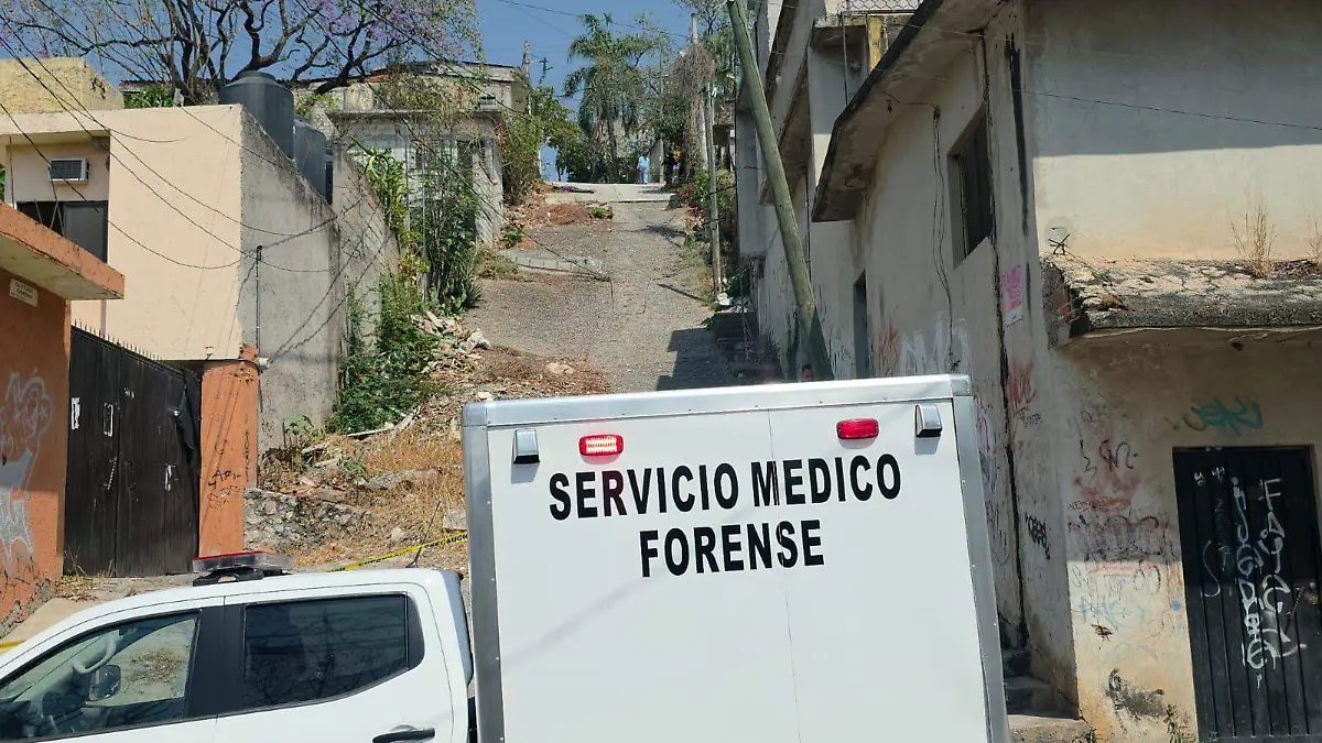 WhatsApp Image 2026-03-27 at 2.49.28 PM