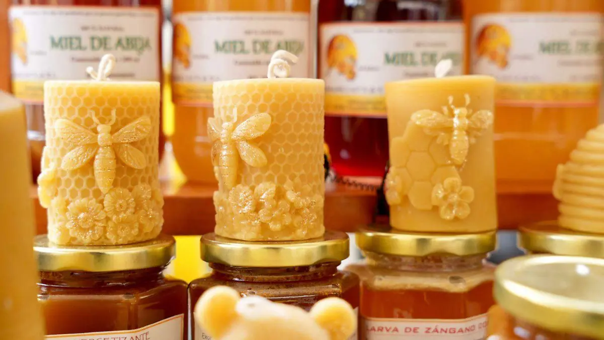 agroturismo-morelos (1)