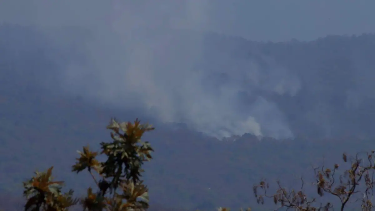 incendios-provocados2-luis-flores