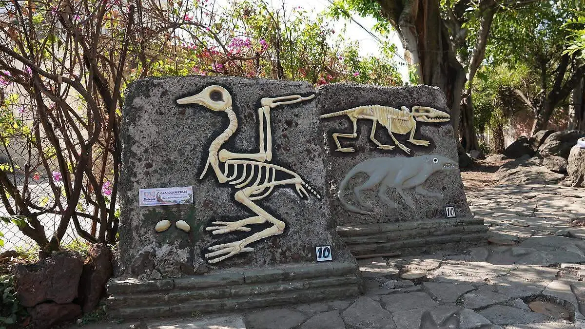 parque-paleolítico-morelos-dinosaurios (1)