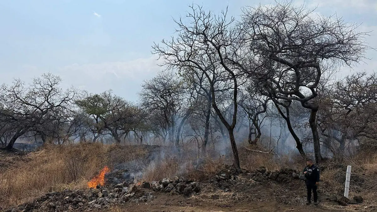 WhatsApp Image 2026-04-03 at 1.20.36 PM (1)