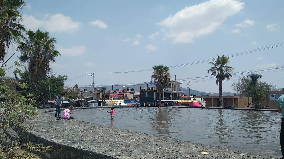 WhatsApp Image 2026-04-03 at 12.46.26 PM