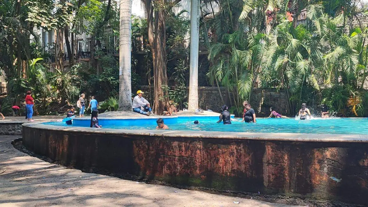 WhatsApp Image 2026-04-03 at 6.06.52 PM