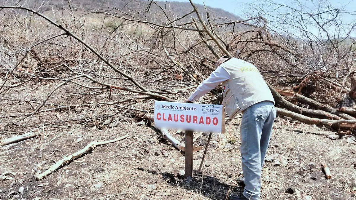 clausura-profepa-miacatlán