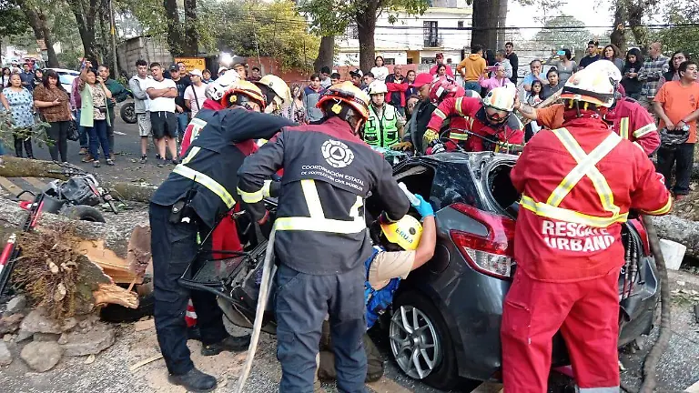 Caída-árbol-México-Cuernavaca