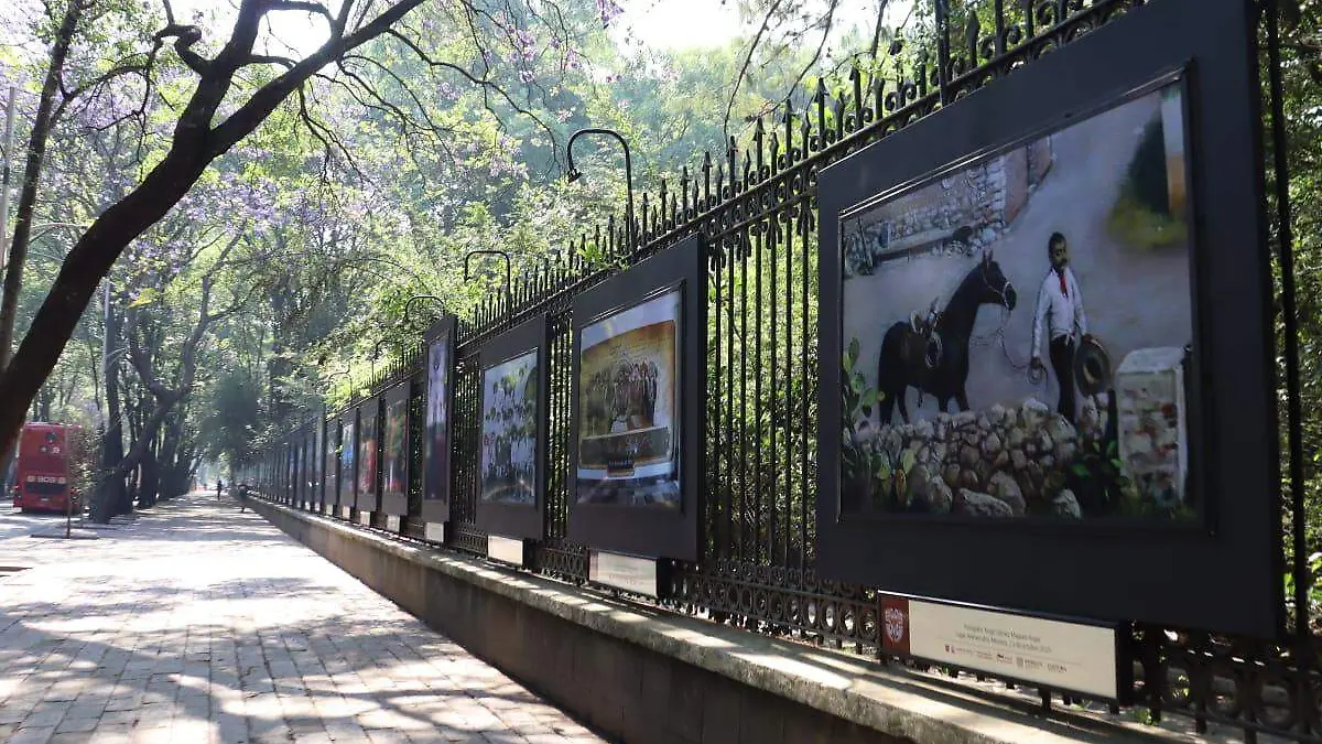 emiliano-zapata-chapultepec