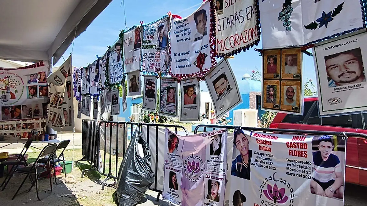 colectivos-búsqueda